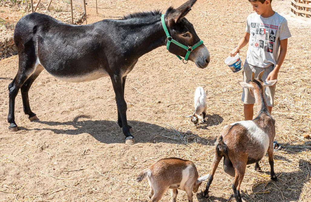 alojamientos AlohaCamp Tierra de Arte: Carromato de Circo 1