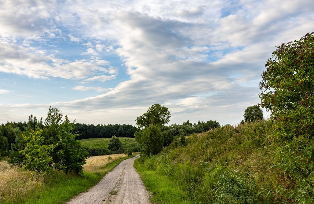 Jurtowe Wzgórze Glamping AlohaCamp