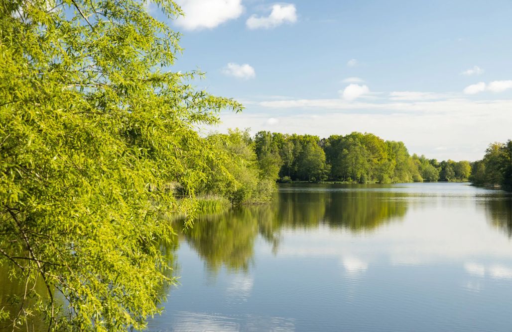 Unterkunft AlohaCamp Nurdachhaus mit Kaminofen und großem Grundstück 5