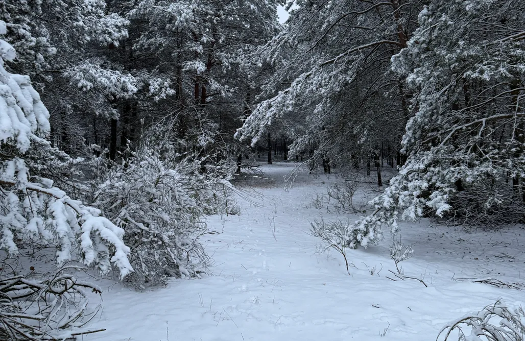 AlohaCamp Agroturystyka Polanka 1