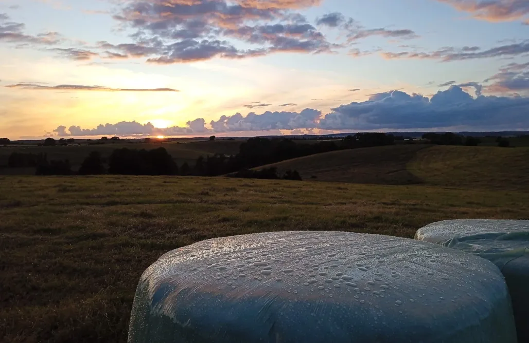 Domek na Drzewie Lubuskie Tiny House am Stiel 1