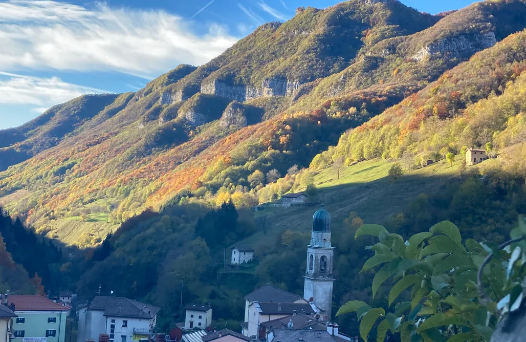 Alloggi AlohaCamp Agriturismo Angelino - Verona 5