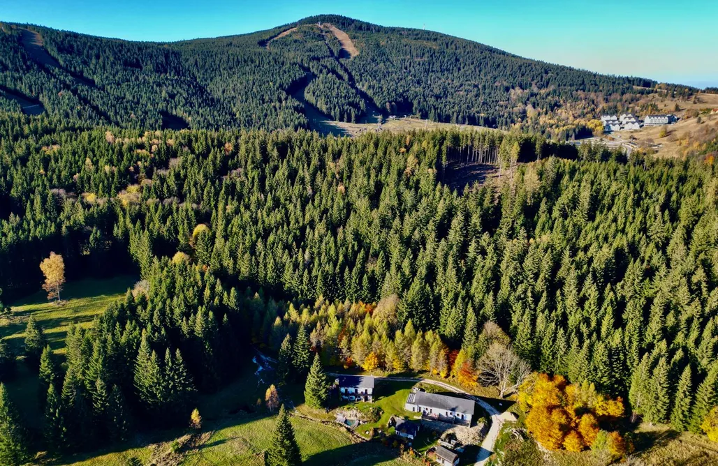 First Minute 2025 Domek Szeregowy Przyjacielówka Ekstra - Miejsce Ciszy 3