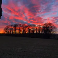Jacqueline Gastgebe Blauer Heinrich im Auszeithof Niederfrohna