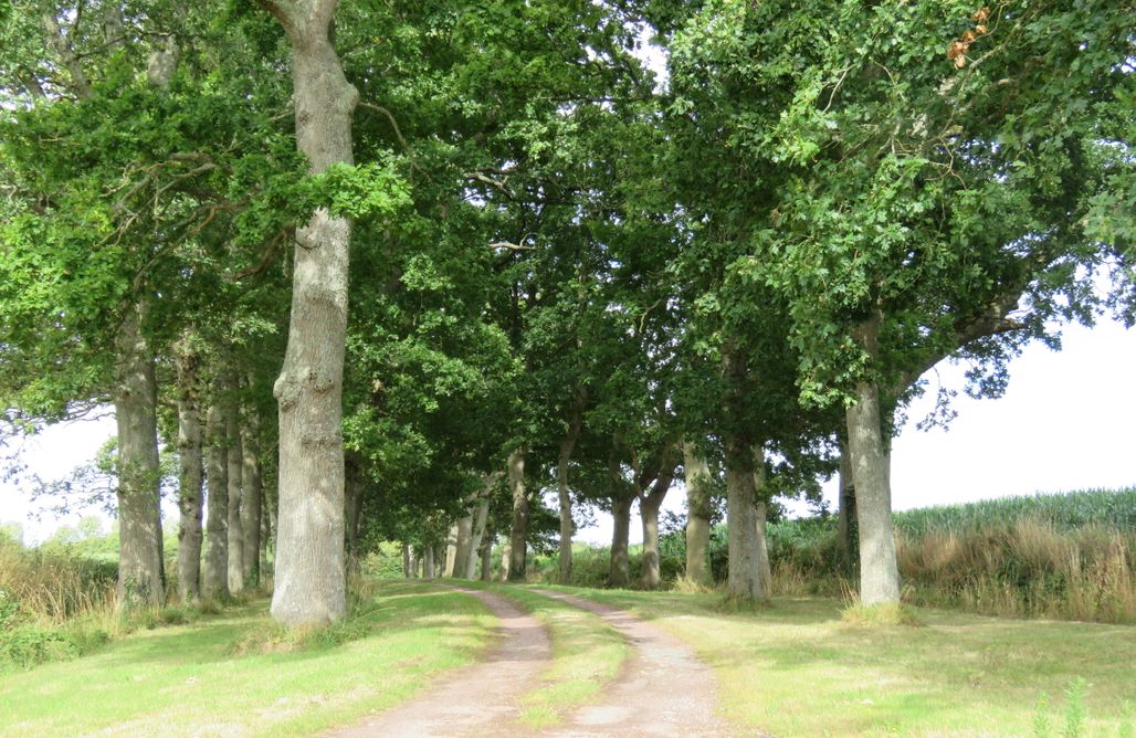 Week-end en Amoureux Bretagne Black Pearl - La Synchronicité Chambres d'Hôtes 3