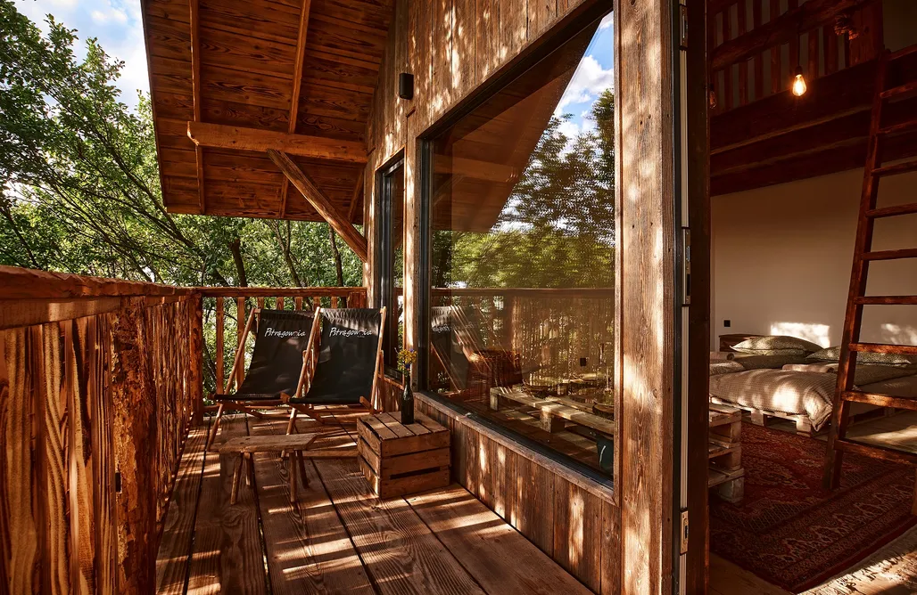 AlohaCamp Dom na drzewie Klon 2