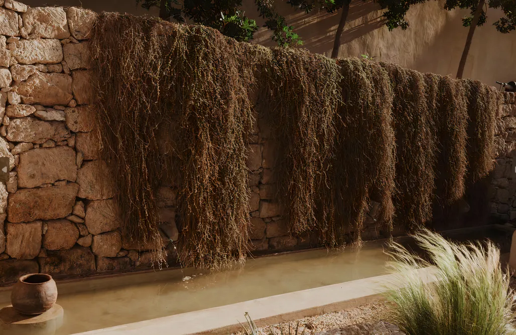 noclegi AlohaCamp Ecohotel El Agua: Villa Olivo 1