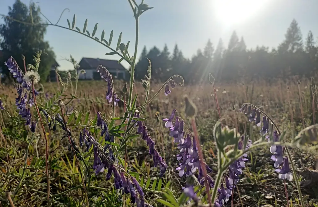 AlohaCamp Warmińska Polana Dom dla 8 osób w sercu natury - Gietrzwałd 1