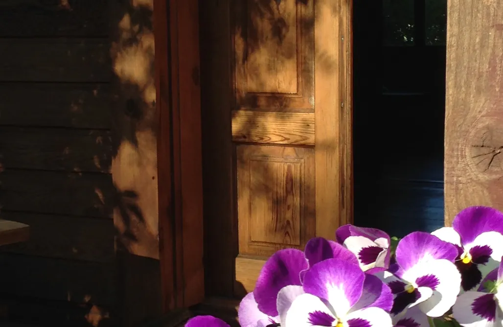 Glamping Olsztyn Butterfly Factory 1