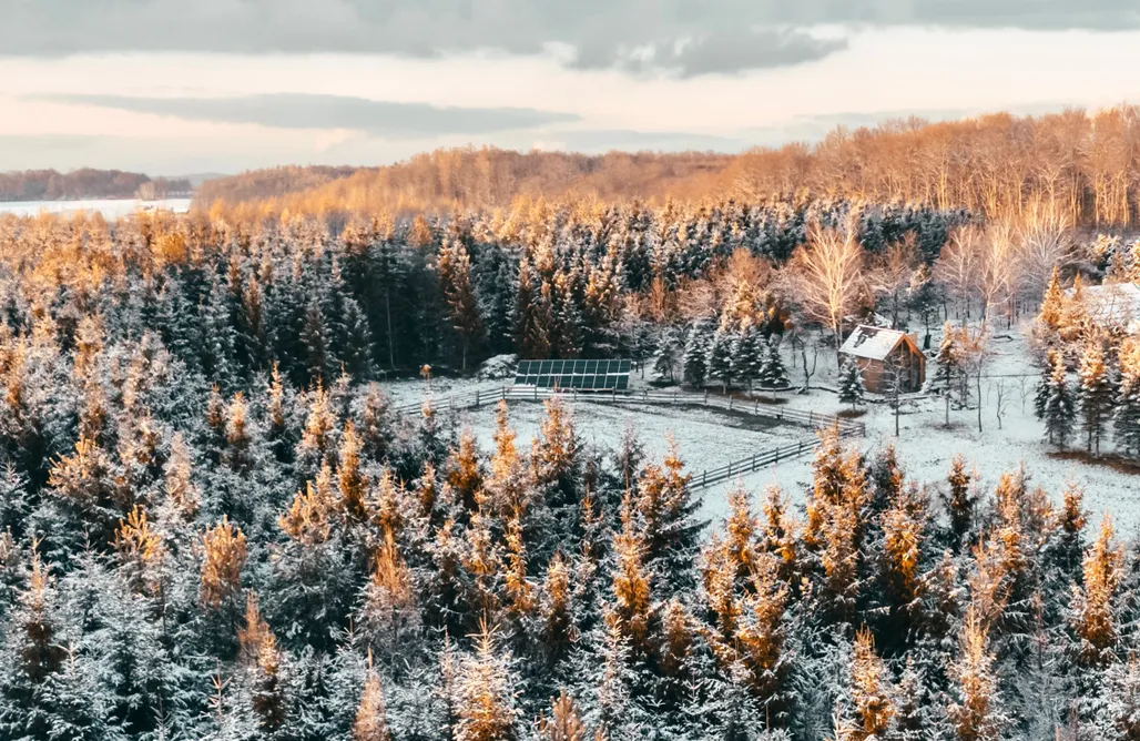 noclegi AlohaCamp Zalesie Łany 4
