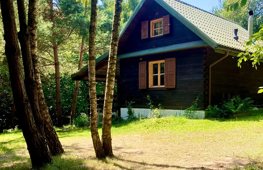 Adamów noclegi Flying Moose/Latający Łoś 2