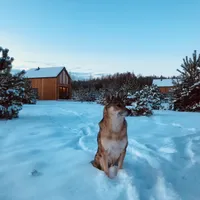 Hubert host Przyjedź Tutaj