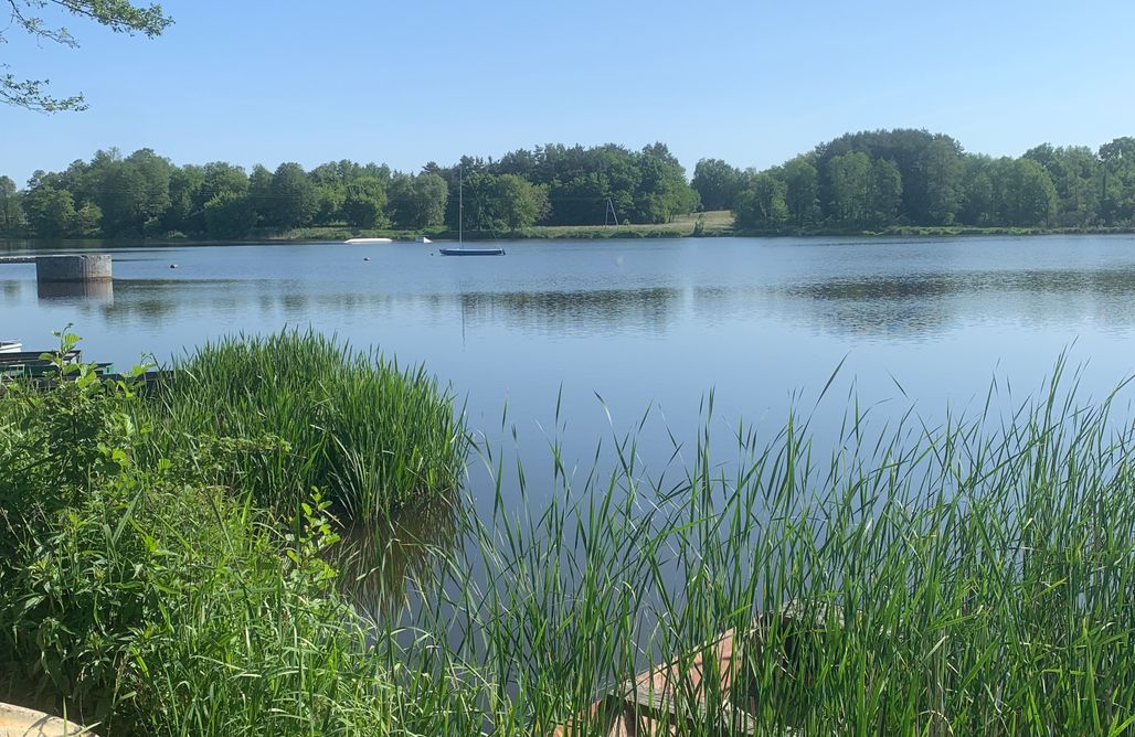 AlohaCamp Dębowy Zakątek 1