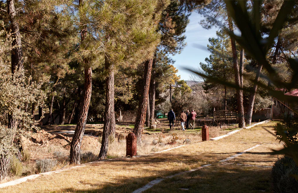 alojamientos AlohaCamp Hotel Boutique Pinar 3