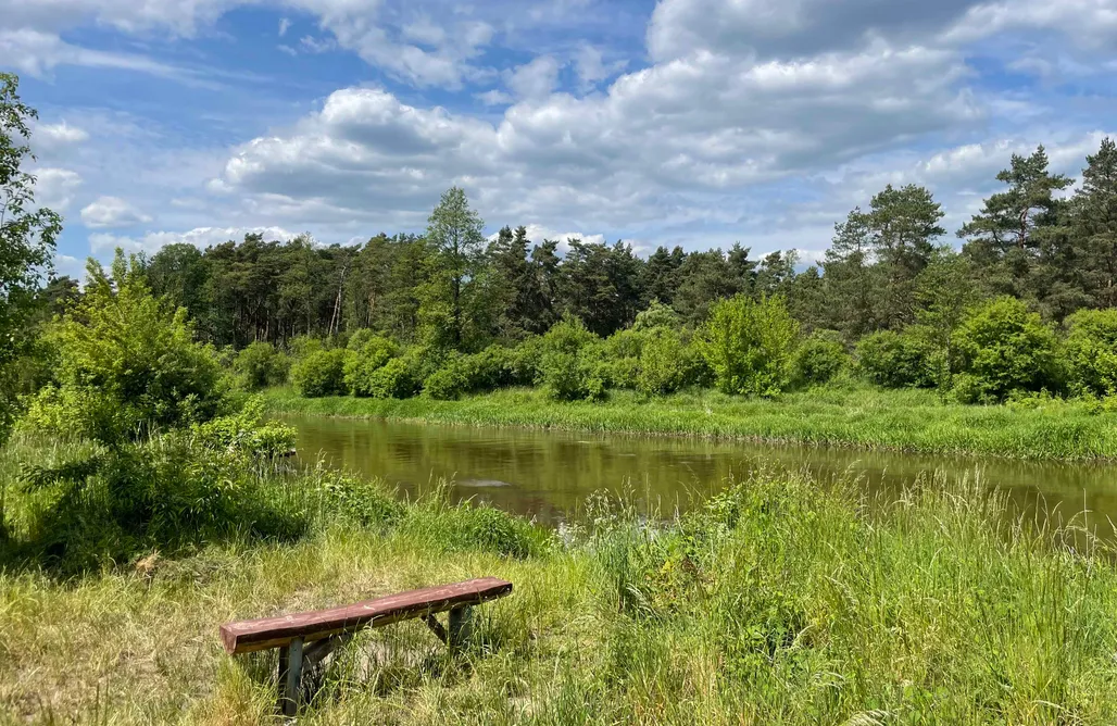 noclegi AlohaCamp Chatka nad Liwcem 1