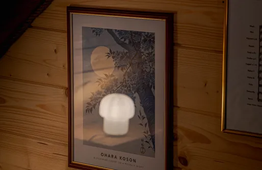 Zdjęcie obiektu Jarzębinowa 