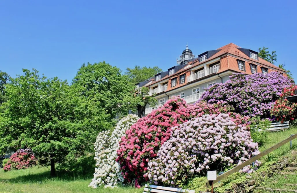 Ferienwohnung Natur und Kunst AlohaCamp