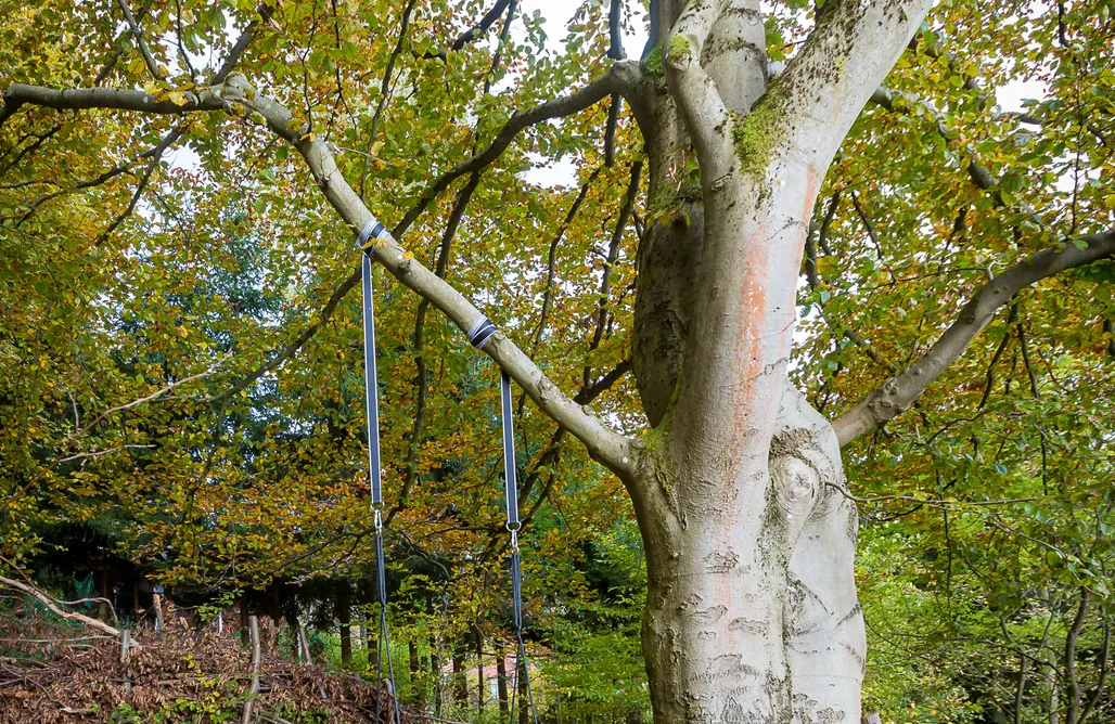 AlohaCamp Chalet Hüttenzauber 1