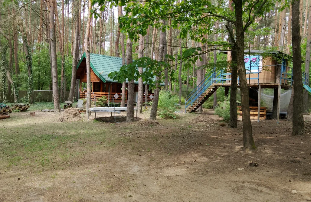 Romantyczny Weekend dla Dwojga Szumi... Szumi Las – prywatny dom w lesie z domkiem na drzewie 1