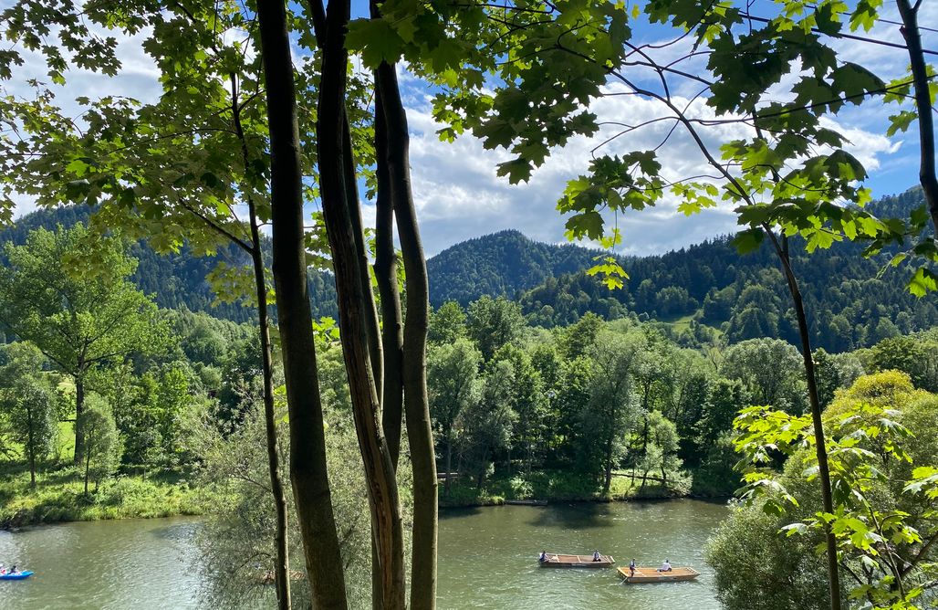 noclegi AlohaCamp Pienińska Róża 4