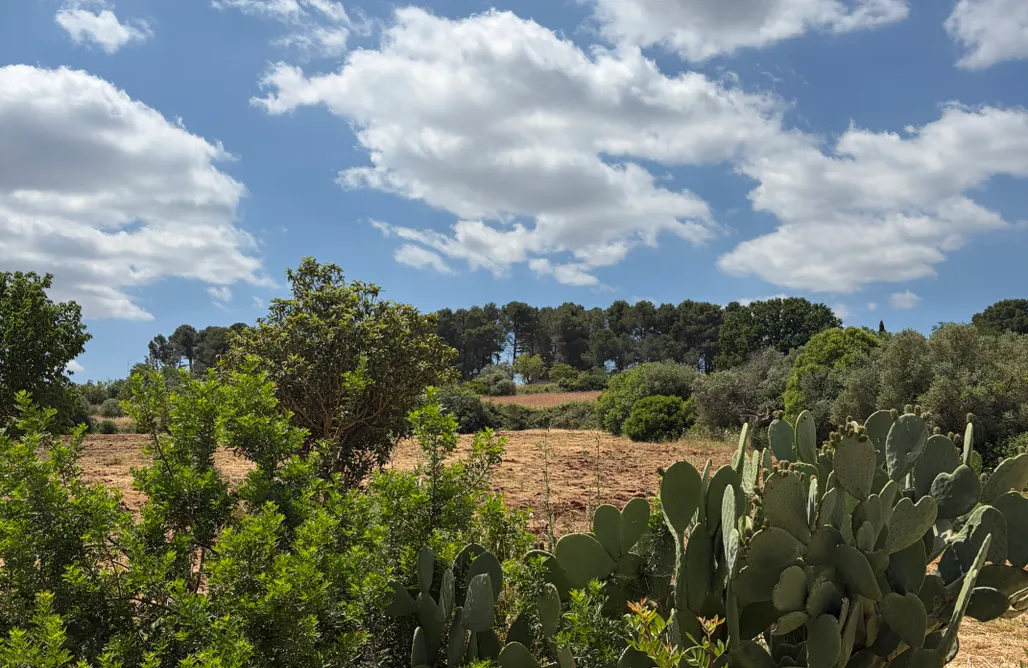 Alloggio AlohaCamp Trulli del sole 5