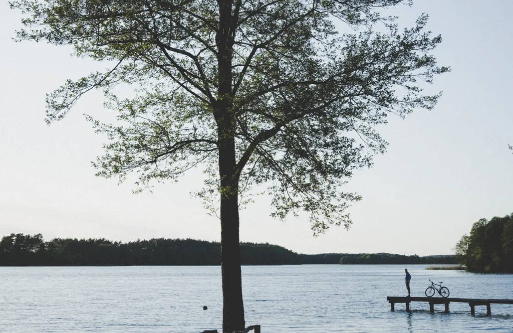 noclegi AlohaCamp Latowisko 1