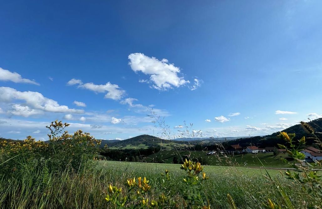 Urlaub in Österreich Ferienhaus in Hauzenberg 1