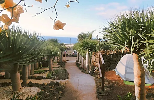 Imagen de Sitio para tiendas - Agrocamping Invernaderito Tejina