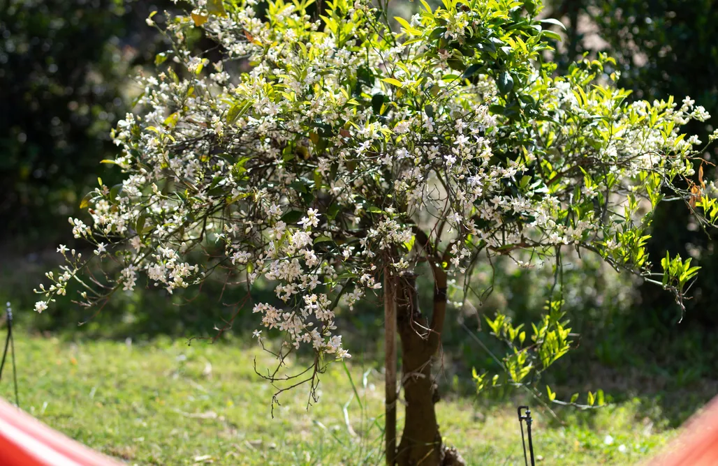 Resonance Experience - Villa Escape Surrounded by Nature & Ancient Sites AlohaCamp