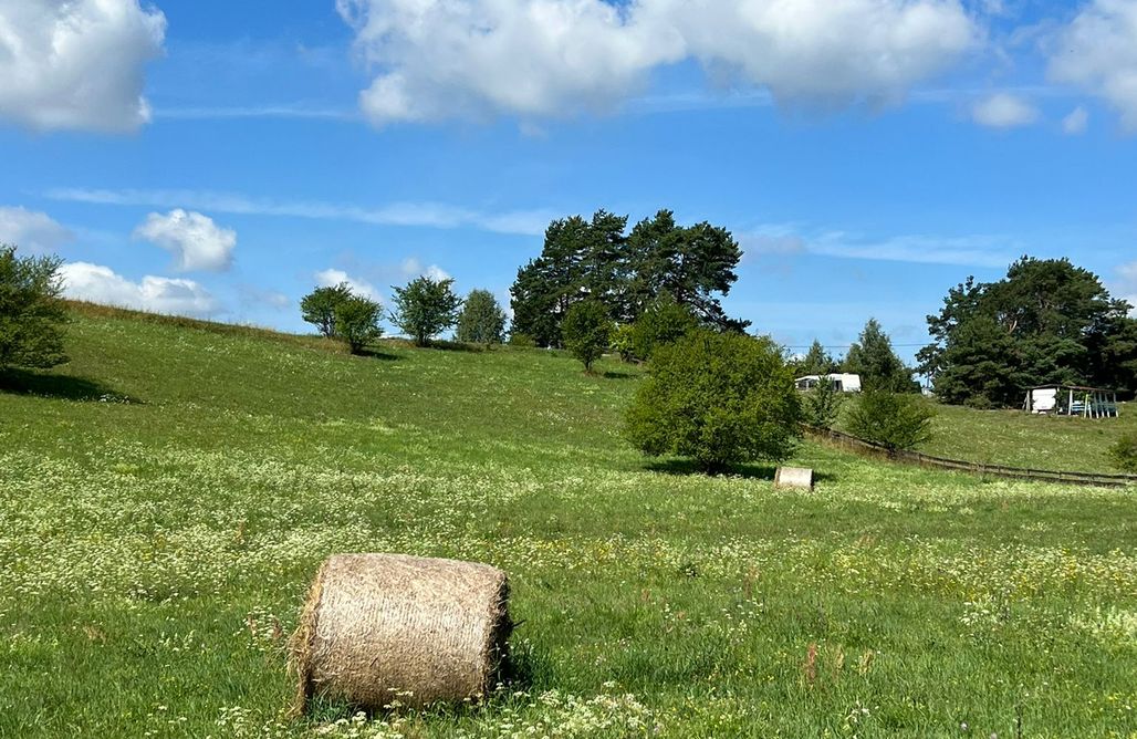 AlohaCamp Lake House Borowe 1