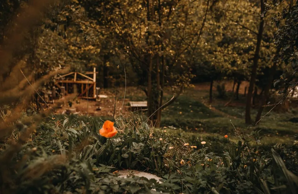 Alloggi AlohaCamp Las Skarpa apartamenty  4