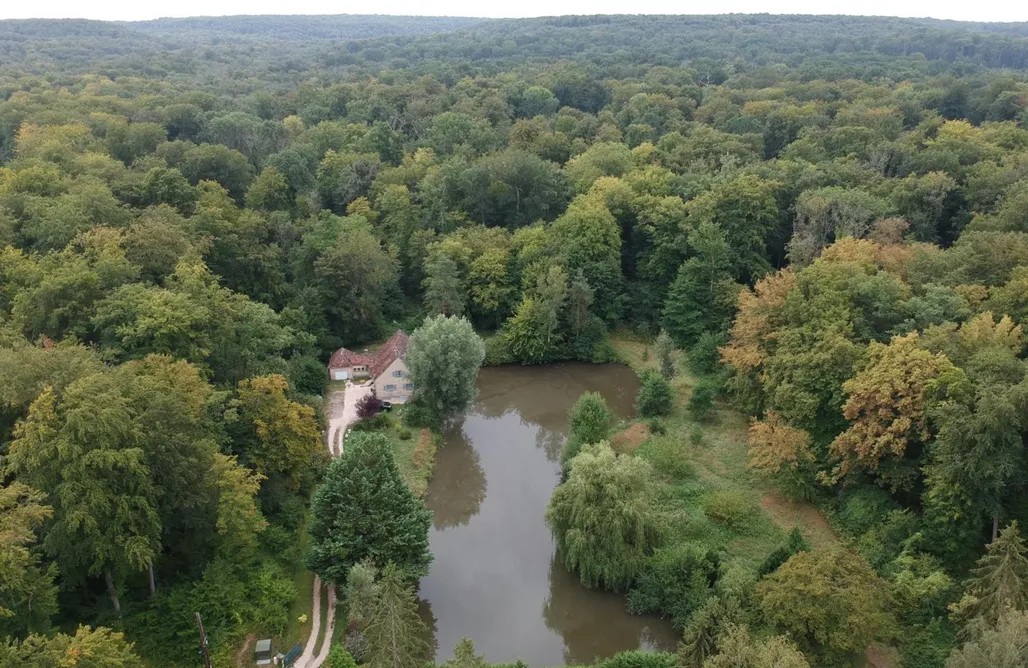 Borne noclegi Nid dans la forêt 2