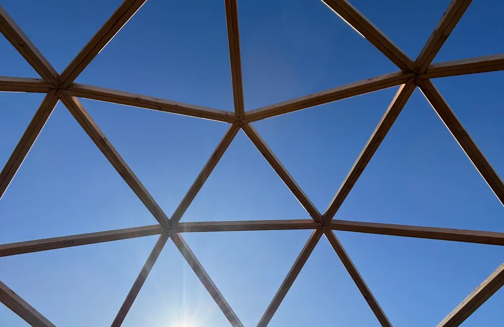 AlohaCamp Bosque Raices 4