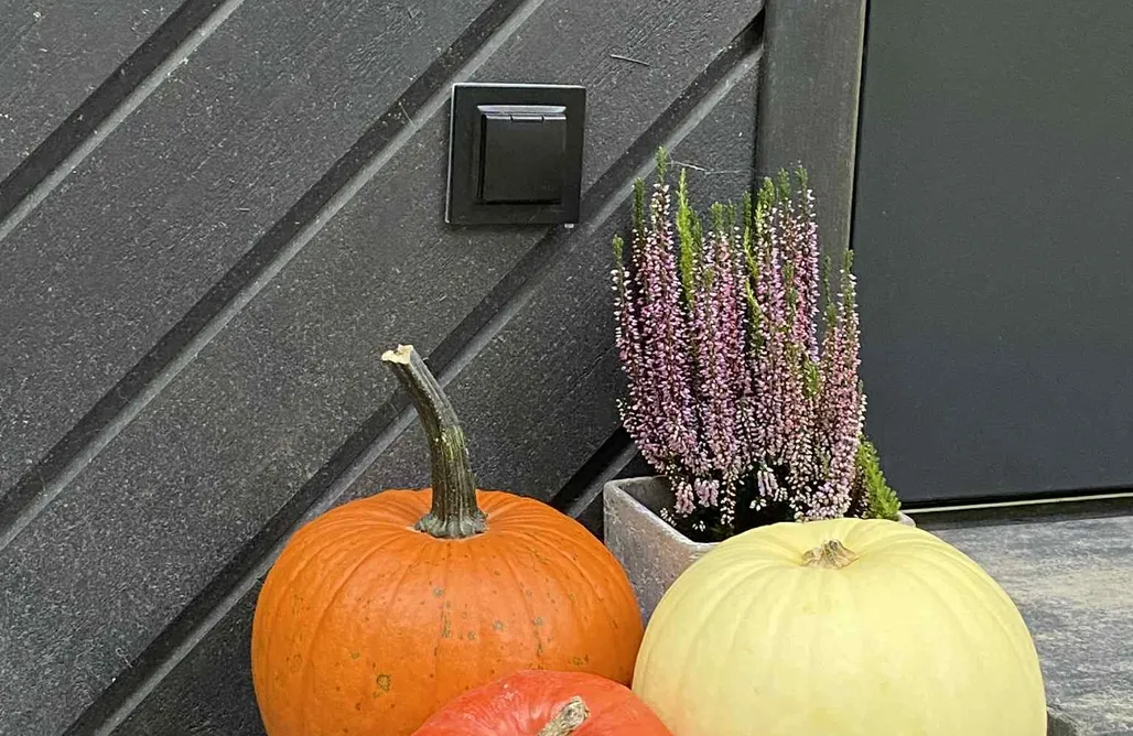 AlohaCamp accommodation elements Solina, z sauną 1