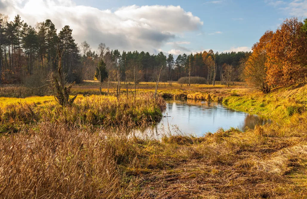 alojamientos AlohaCamp HYGGE Golf House 5