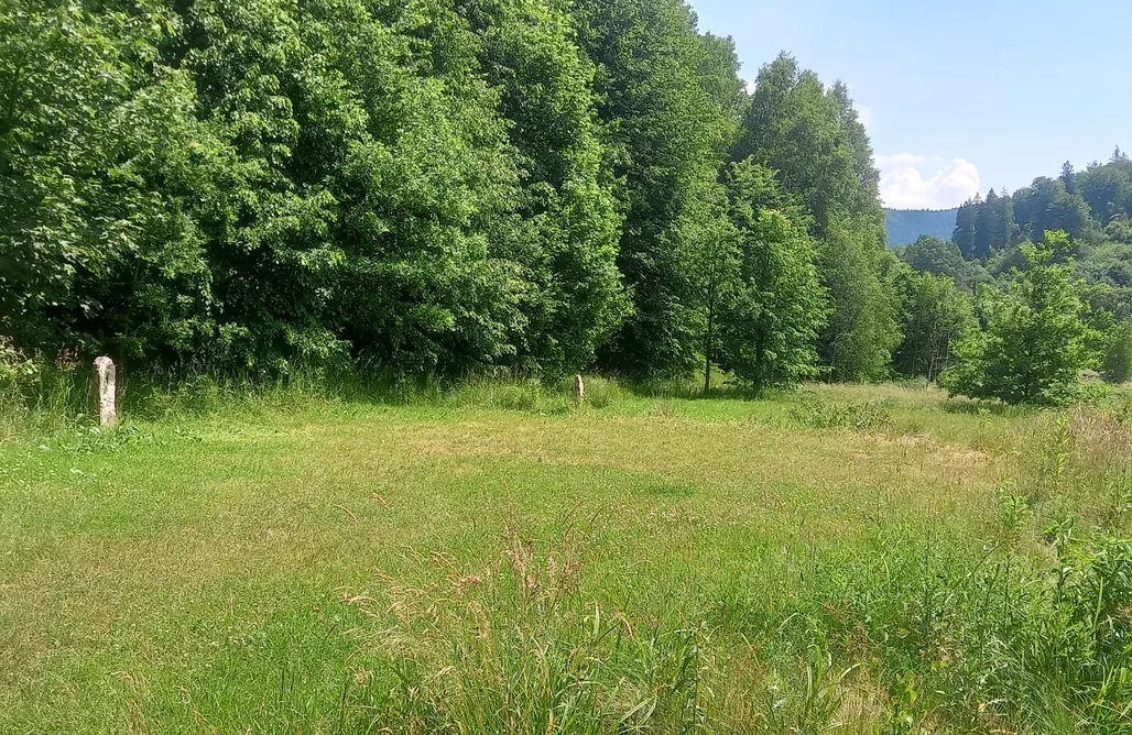 AlohaCamp Stanowisko na Kamper lub namiot z dostępem do podłączenia elektrycznego (Tent or Caravan incl Car and Electricity) 1