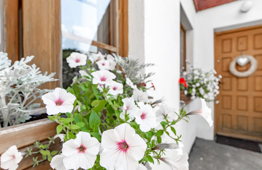 alojamientos AlohaCamp Siedlisko Gacanek 1