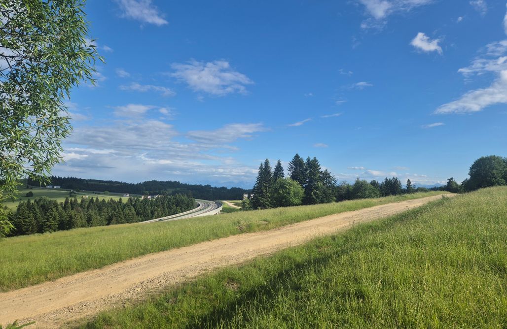 AlohaCamp Zagajnik 2