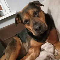 Karolina użytkownik