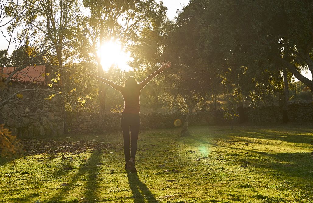 alojamientos AlohaCamp Casa Alta  3