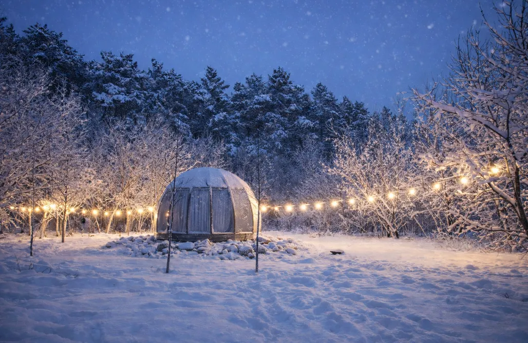 Last Minute France Obserwatorium | Patoki. Dom i las. 2