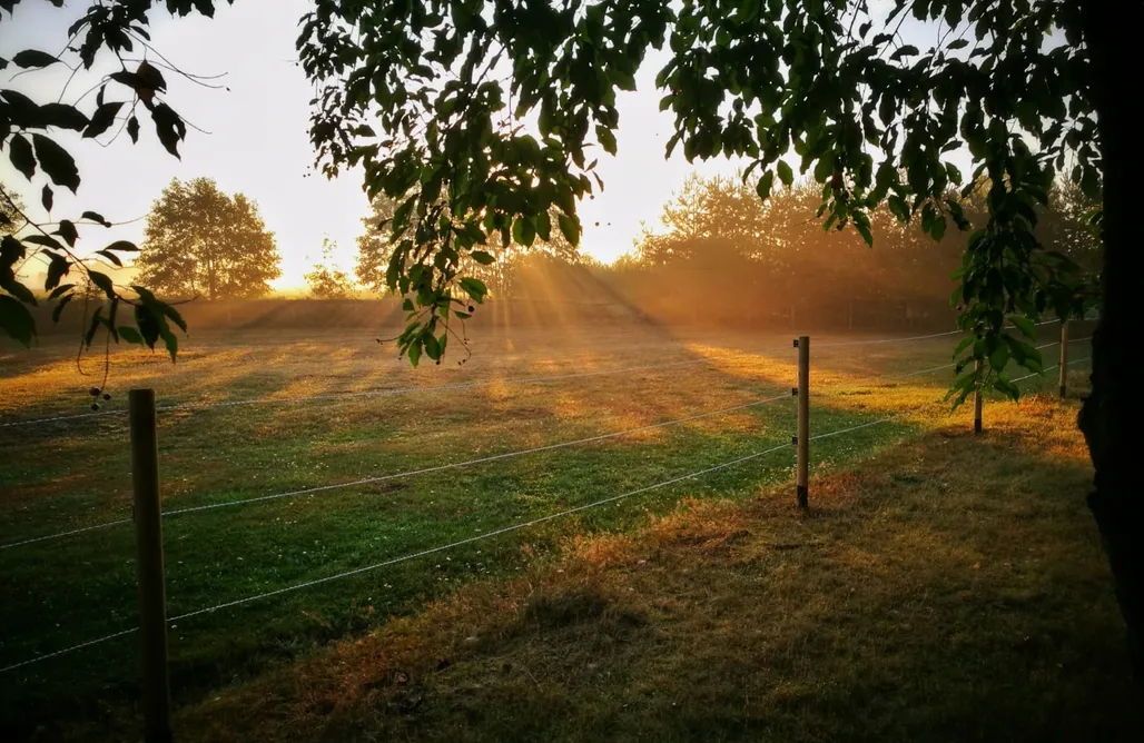 AlohaCamp Domek Marzeń 1