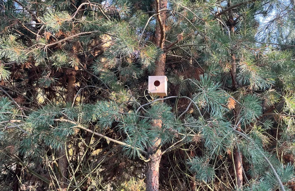 AlohaCamp accommodation Auris under the trees 1