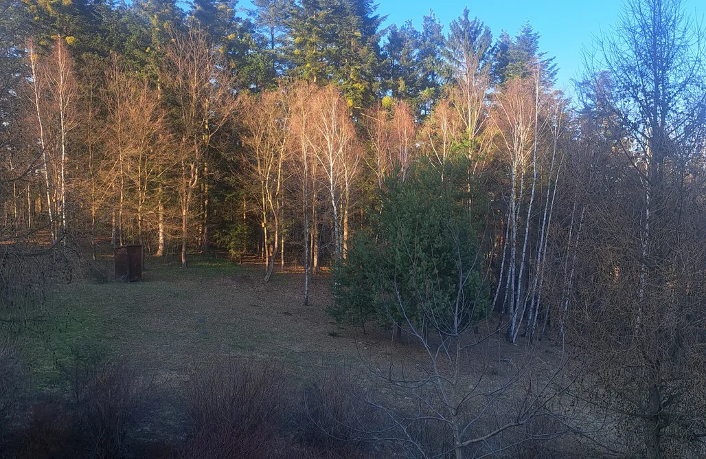 AlohaCamp Apartament 2-poziomowy w chacie na skraju lasu 4
