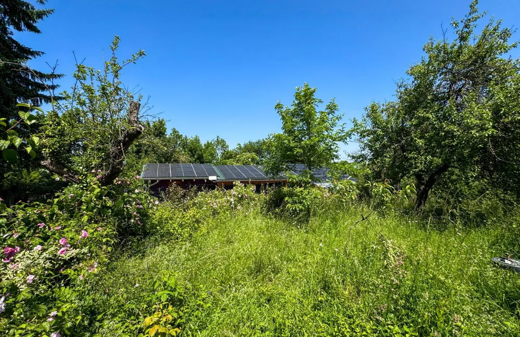 Unterkunft AlohaCamp Ferienhaus Esswiese 4