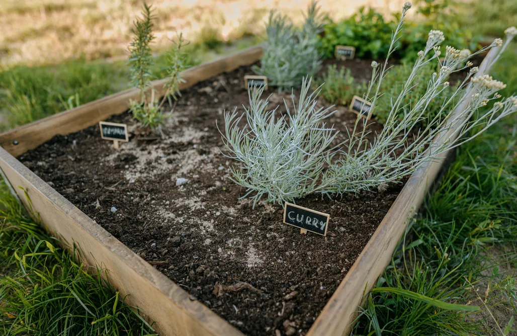 AlohaCamp Chata Różanka 1