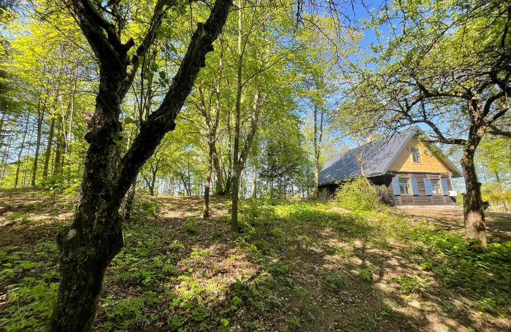 Rutka-Tartak Domki Leonówka 3