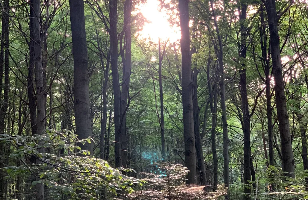 Sielpia Domki Wooden cottage at Feel free farm 1