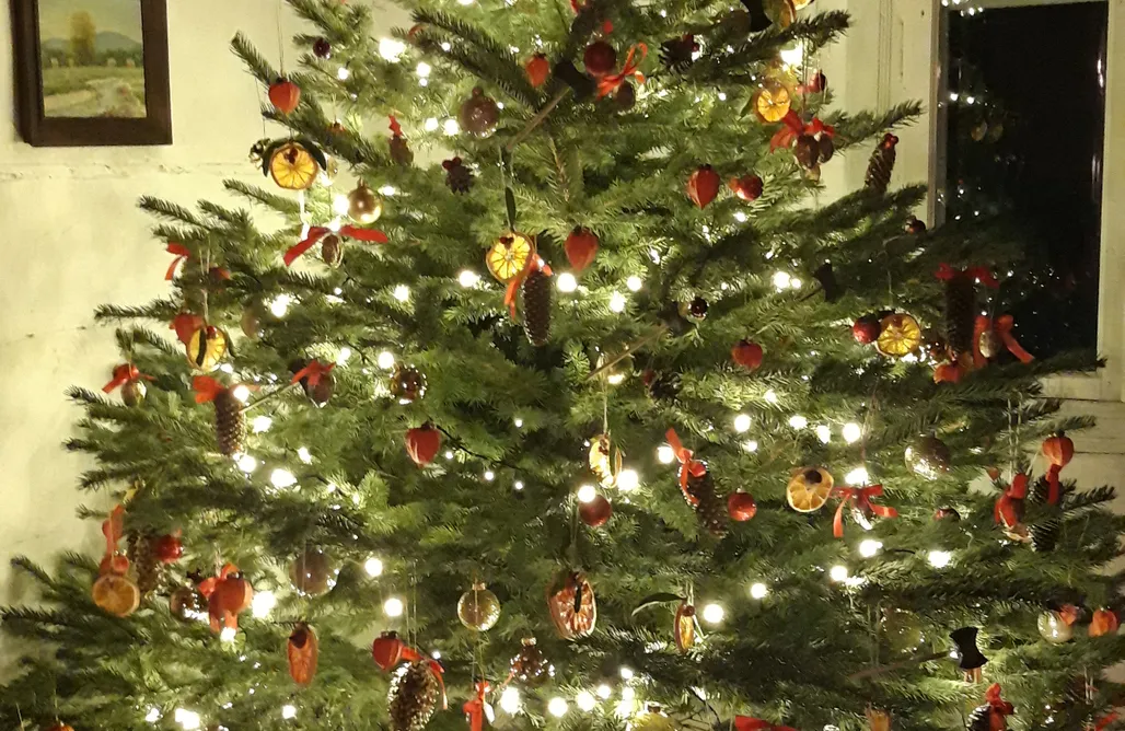 noclegi AlohaCamp Białasówka - Dom w lesie 1