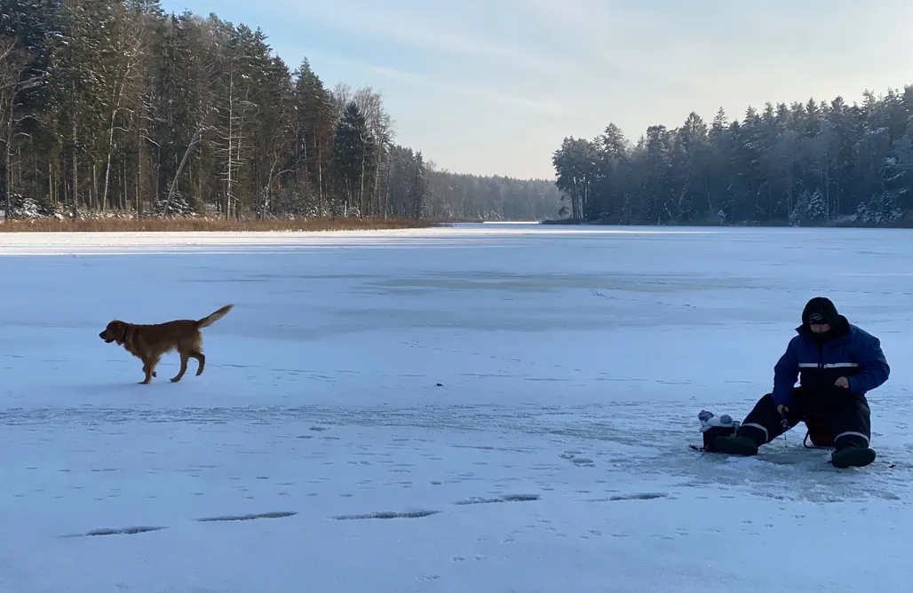 noclegi AlohaCamp Leśniczówka Szeroki Bór 1